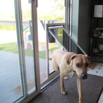 Custom Dog Doors
