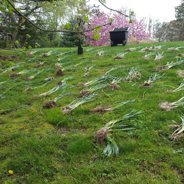 Gardens