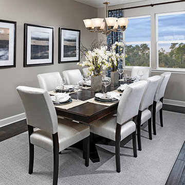Dalton model home in Florida