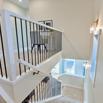 sorensen duplex
