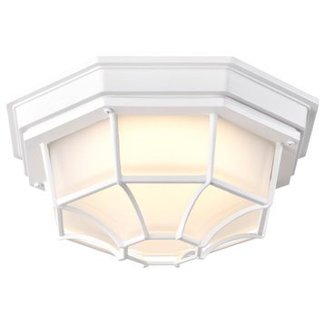 LED Spider Cage Fixture - White Finish with Frosted Glass