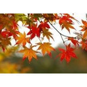 Angela Rzeszut's photo