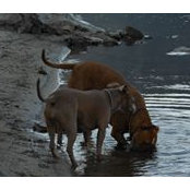 Cristi Lundborg's photo