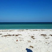 Danielle C's photo