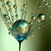 Kimberly Pace's photo