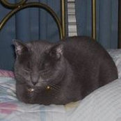 Cynthia Kebbe's photo