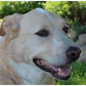 Jane Peck's photo