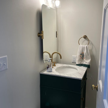 CHARLOTTESVILLE FULL HOUSE REMODEL