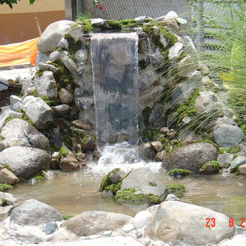 Biological Koi Ponds