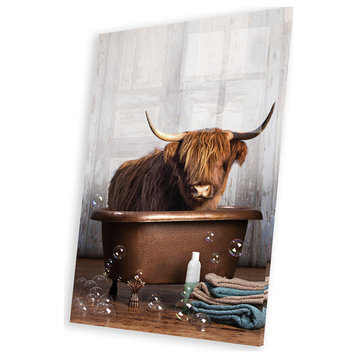 Highland Cow, The Tub by Domonique Brown Print on Acrylic Glass 32"x24"x0.25"