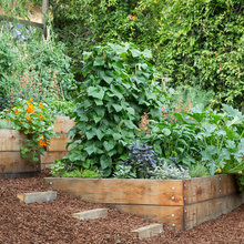 GARDEN IDEAS