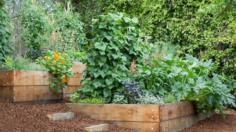 Pine House Edible Gardens