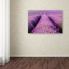 Michael Blanchette 'Purple Hills' Canvas Art, 32x22