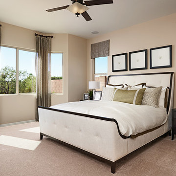 Delaney model home in Arizona