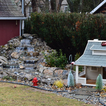 Dog House environment