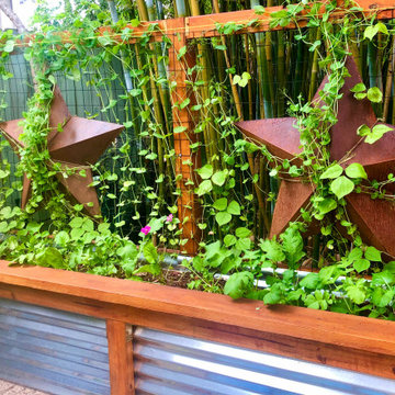 Vibrant Colorful Vegetable Beds & Mini-Food Forests