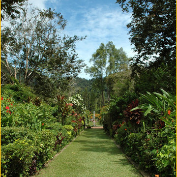 Landscape Great Plans, Great Ideas