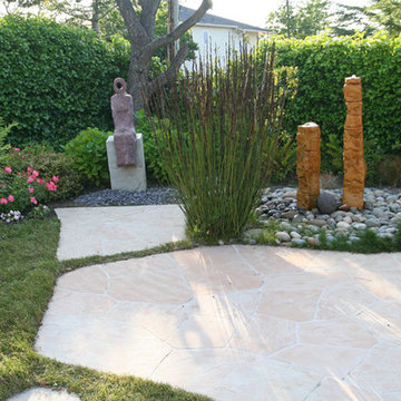 Carex Pansa: The natural lawn
