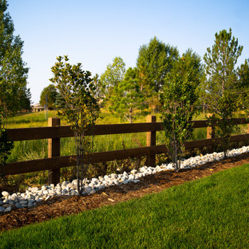 Modern Low-Maintenance Garden