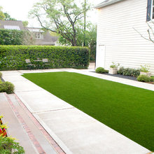 Landscape Ideas