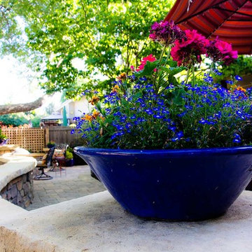 Blue Backyard Container Garden