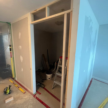 Glass wall removal/ Barn door install