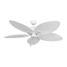 Ceiling fans