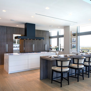 COLLINS AVENUE PENTHOUSE