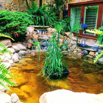 Water Features