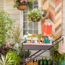 Plants And Gardens