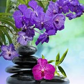 Deborah Goglia's photo