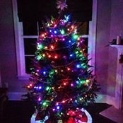 Derek Rubright's photo