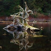 Linda Meyer-Kelly's photo