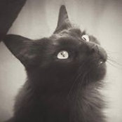Muriel Cultot's photo