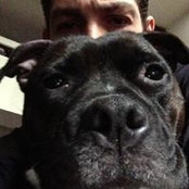 Franck Turco's photo