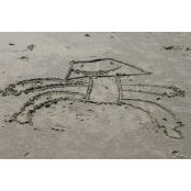 Natasha Denis's photo