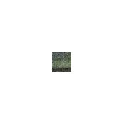 Denis Tokarev's photo