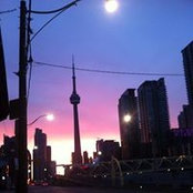 Michelle Levesque's photo