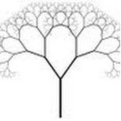 Amanda Klinger's photo