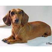 Michael Lawing's photo
