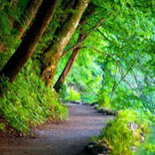 tricia sinclair's photo
