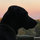 emily_ayers