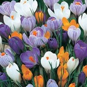 Sharon Grindel's photo