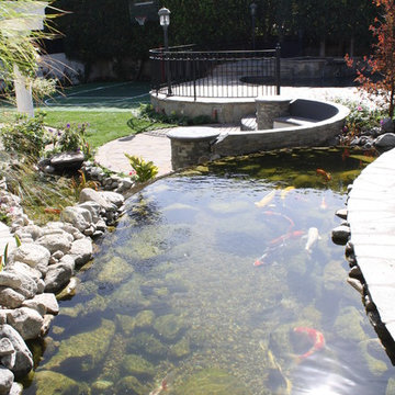 Beverly Hills Tranquility