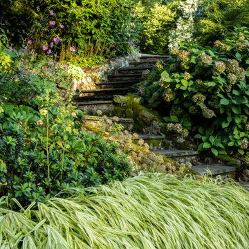 Shade Gardens