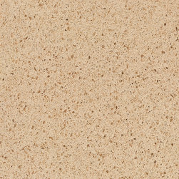 QUARTZ COUNTER TOP AND FLOOR - Kitchen Countertops