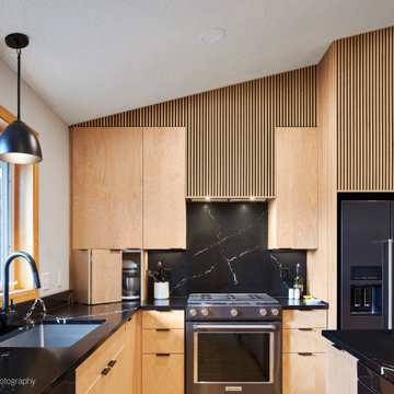 Roseville Remodel - Slat Wall & Appliance Garage
