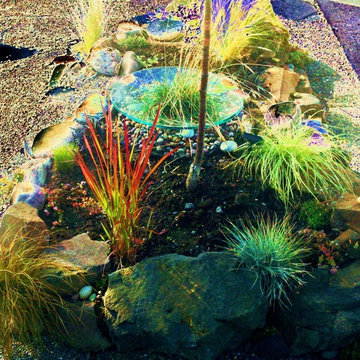 RAIN GARDENS, BIO-SWALES, GREEN DRAINAGE SOLUTIONS