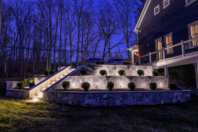 Design ideas for a landscaping in DC Metro.