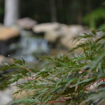Water Garden Design